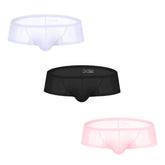 Men's Sheer Bikini Briefs - Low-Rise Breathable & Sexy Boxer Underwear