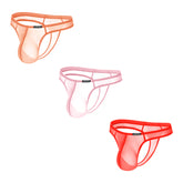 Breathable Sheer Men's Thong Underwear - Low-Rise Comfortable T-Back Panties for Gym, Workout & Active Lifestyle - Soft Stretchable Microfiber Underwear for Men