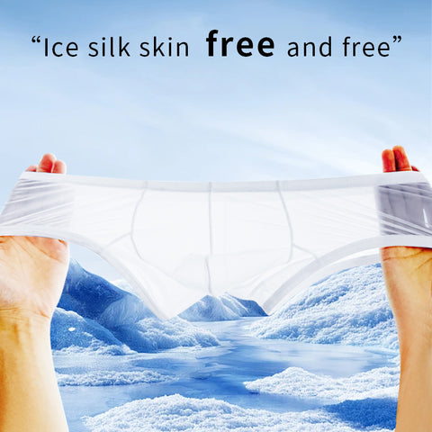 Men's Sheer Bikini Briefs - Low-Rise Breathable & Sexy Boxer Underwear