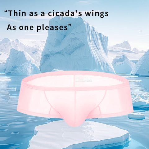 Men's Sheer Bikini Briefs - Low-Rise Breathable & Sexy Boxer Underwear