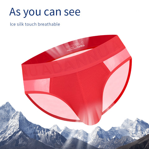 Breathable Low-Rise Men's Underwear - Soft Stretch Semi-Transparent Briefs for Gym & Daily Wear - Comfortable Lightweight Boxer for Active Lifestyle