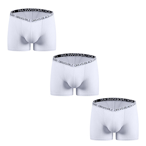 Cool Ice Silk Boxer Briefs for Men – See-Through Mesh, U-Bulge Design, Quick-Dry & Sporty Fit