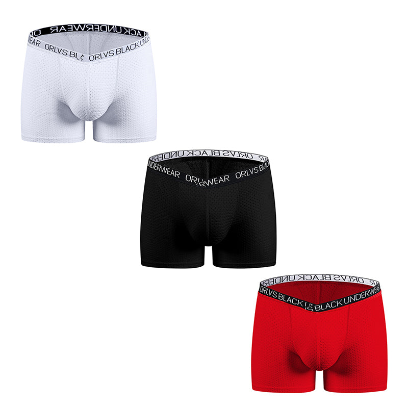 Cool Ice Silk Boxer Briefs for Men – See-Through Mesh, U-Bulge Design, Quick-Dry & Sporty Fit