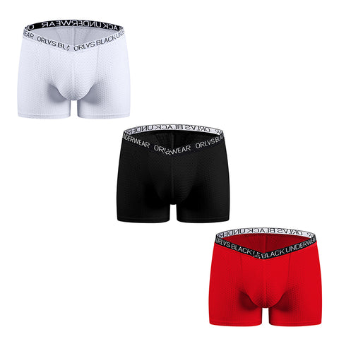 Cool Ice Silk Boxer Briefs for Men – See-Through Mesh, U-Bulge Design, Quick-Dry & Sporty Fit